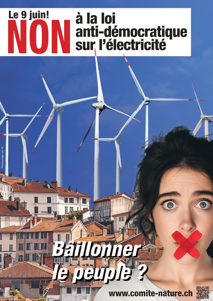 Flyer Loi Sur Lelectricite