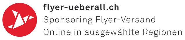 Flyer  Kampagne "NEIN zum Stromgesetz"