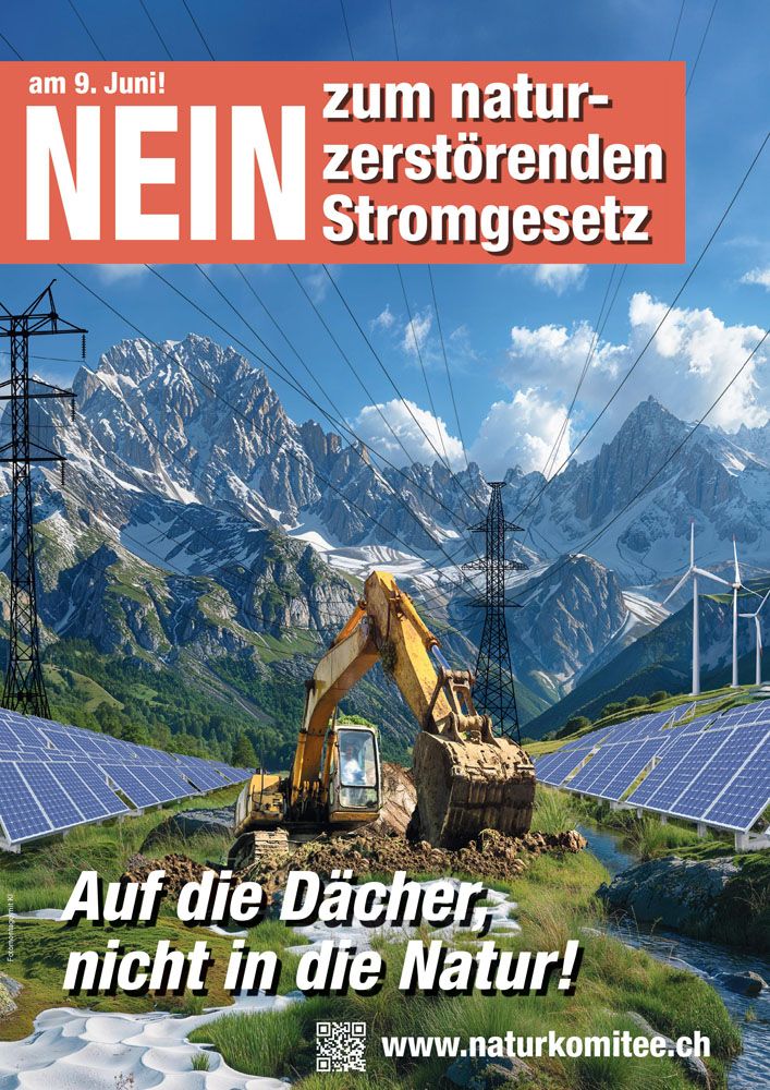 Flyer Stromgesetz Nein